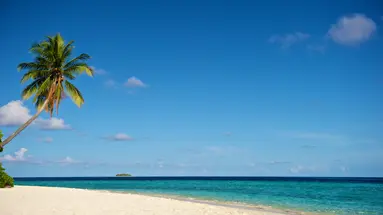 Robinson Club