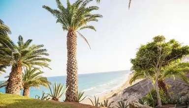 Robinson Esquinzo Playa
