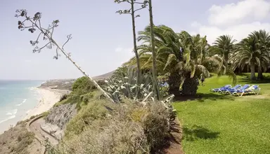 Robinson Esquinzo Playa