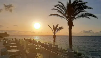 Roca Mar Royal Orchid