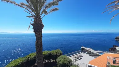 Roca Mar Royal Orchid