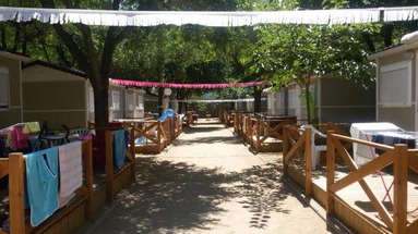 Roca