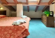 Rododendro (Campitello Di Fassa)