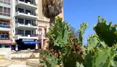 Roma (Sliema)