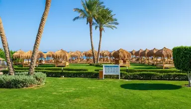 Romance Regency Club
