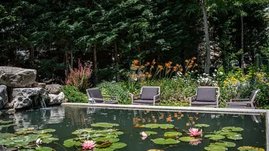 Romance Spa (St. Konstantin i Elena)