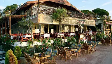Rosy Suites