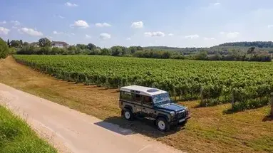 Roxanich Winery & Design