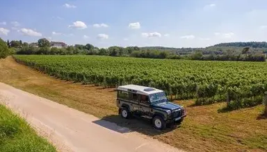 Roxanich Winery & Design