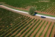 Roxanich Winery & Design