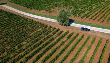 Roxanich Winery & Design
