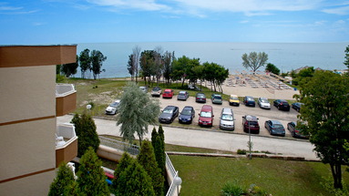 Royal Bay Garden