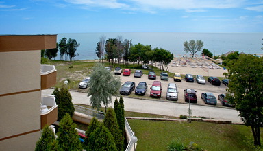 Royal Bay Garden