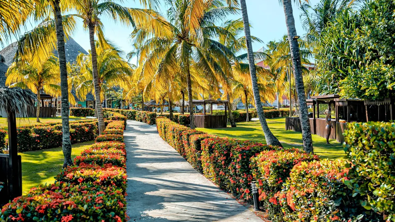 Royal Hicacos Resort & Spa