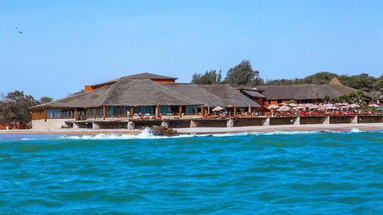 Royal Horizons Baobab