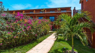 Royal Horizons Baobab