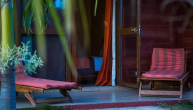 Royal Horizons Baobab