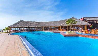 Royal Horizons Baobab
