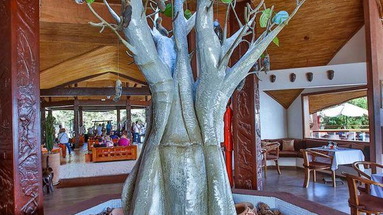 Royal Horizons Baobab