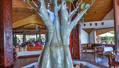 Royal Horizons Baobab