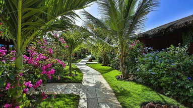 Royal Horizons Baobab