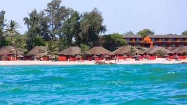 Royal Horizons Baobab