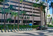 Royal Kuhio