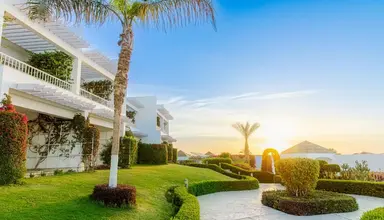 Royal Monte Carlo