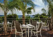 Royal Palm