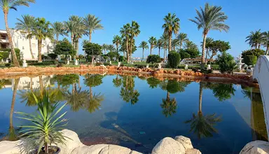 Royal Regency Club