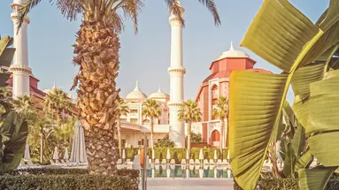 Royal Taj Mahal