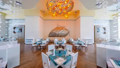 Royalton Splash Punta Cana