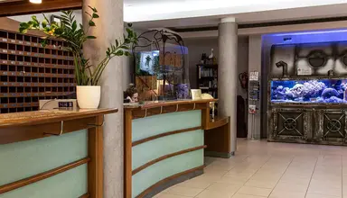 Róża Wiatrów