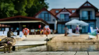 Rudnik