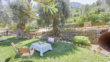Rural S'Olivaret