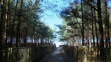 Rusałka