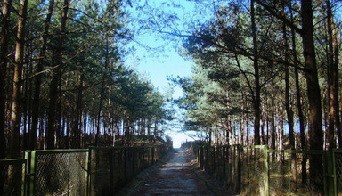 Rusałka