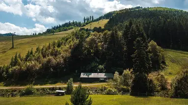 Ryterski