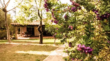 Sa Posada d'Aumallia