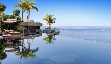 Saccharum