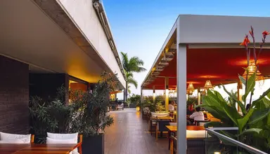 Saccharum