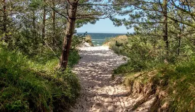 Saltic Resort & SPA