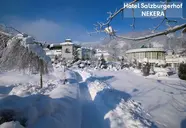 Salzburgerhof (Zell am See)