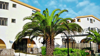 San Domenico Club