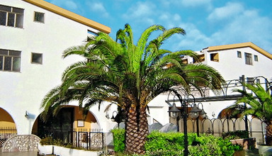 San Domenico Club