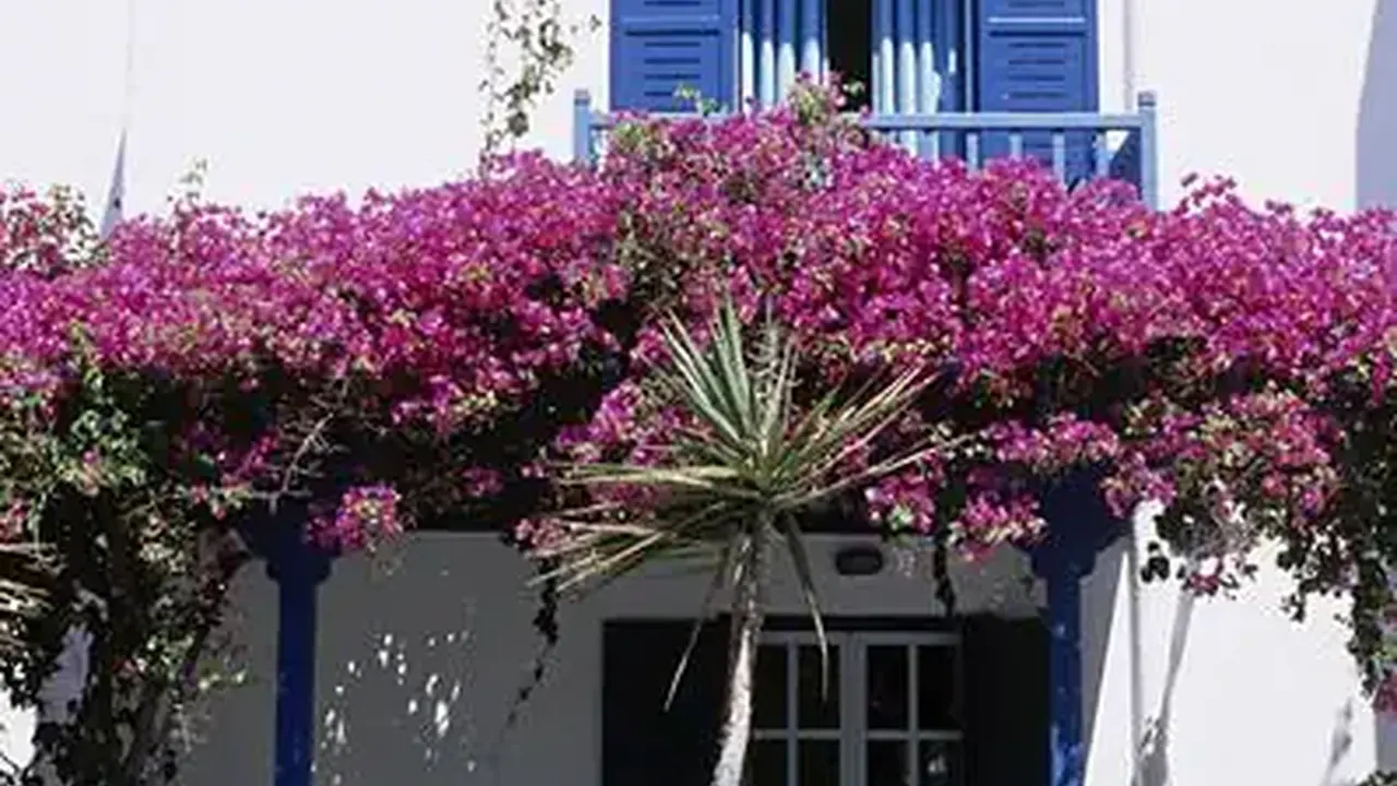 San Marco Luxury Hotel & Villas