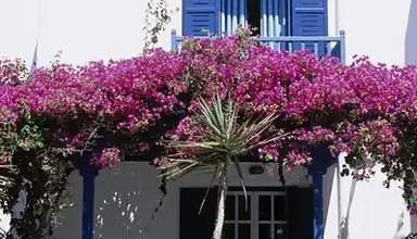 San Marco Luxury Hotel & Villas