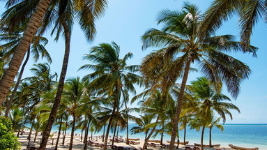 Sandies Coconut Village