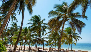 Sandies Coconut Village