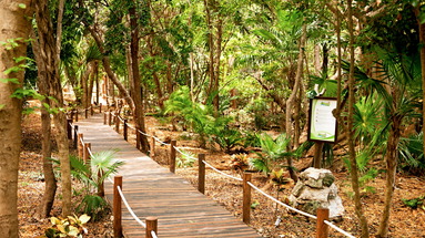 Sandos Caracol Eco Experience Resort & Select Club